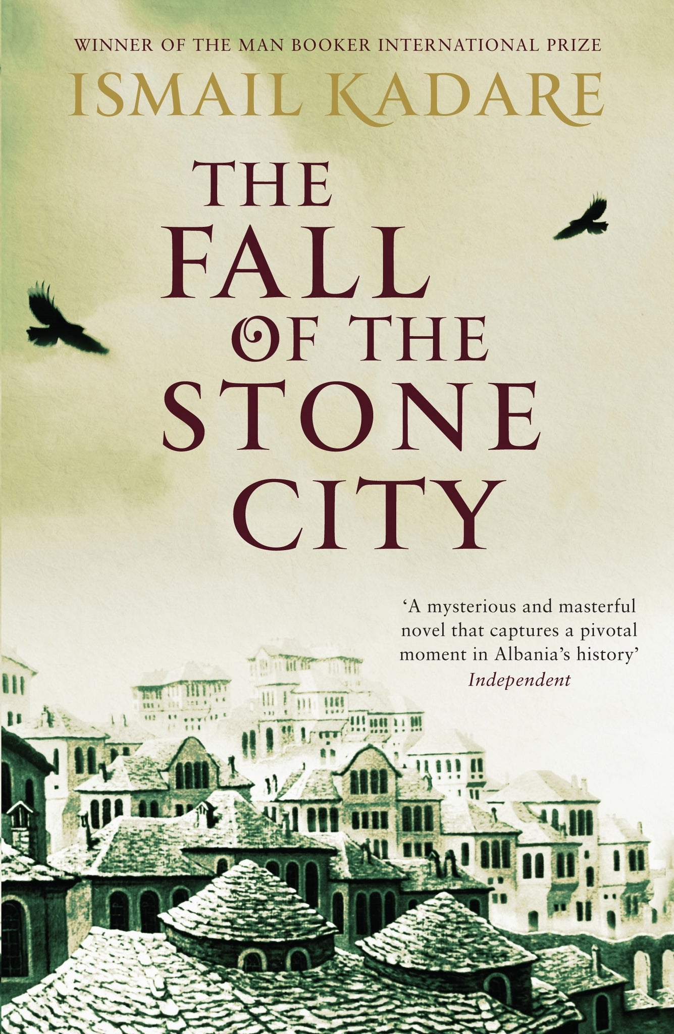 Cover image for The Fall of the Stone City ISBN 9780857860125